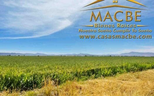 Hectáreas en venta, cuatro pozos ideal agroindustria Guanajuato
