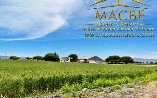 Hectáreas en venta, cuatro pozos ideal agroindustria Guanajuato