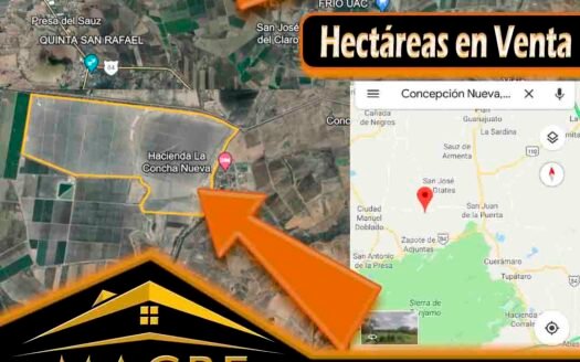 Hectáreas en venta Guanajuato inmobiliaria macbe irapuato bienes raices irapuato macbe