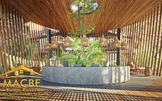 Invierte en Tulum | Departamentos con Alta Plusvalía