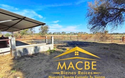 Propiedad en Venta Agro Industrial en Guanajuato