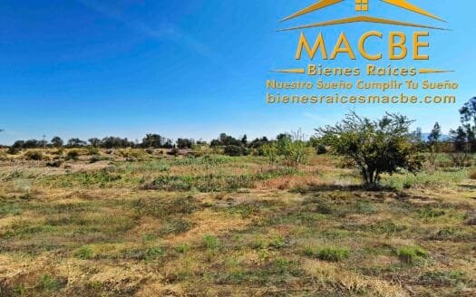 Propiedad en Venta Agro Industrial en Guanajuato