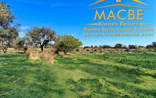 Propiedad en Venta Agro Industrial en Guanajuato