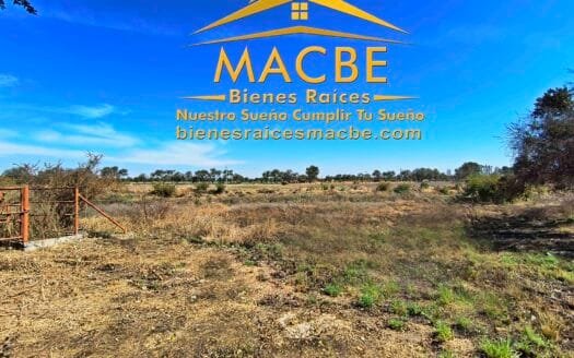 Propiedad en Venta Agro Industrial en Guanajuato
