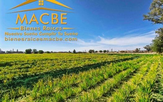 Propiedad en Venta Agro Industrial en Guanajuato