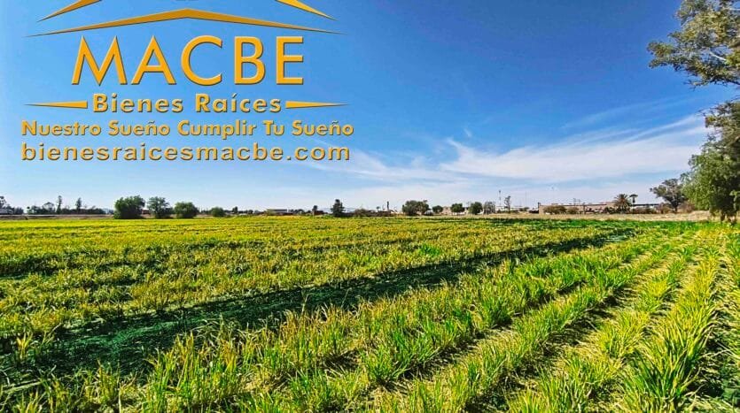 Propiedad en Venta Agro Industrial Abasolo Pénjamo Inmobiliaria Macbe Bienes Raíces Inmobiliarias en Guanajuato