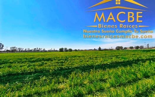 Propiedad en Venta Agro Industrial en Guanajuato