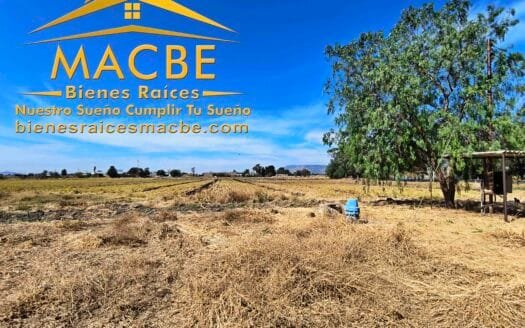 Propiedad en Venta Agro Industrial en Guanajuato