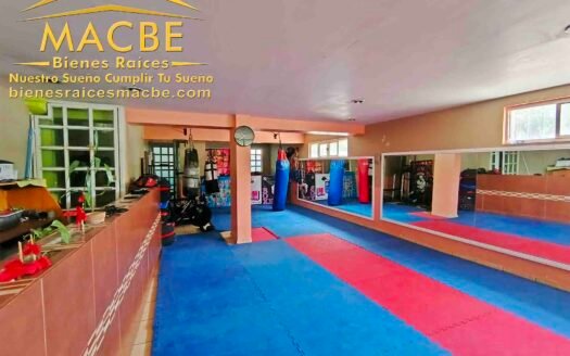 Propiedad en Venta en Irapuato: Oportunidad Comercial en Mariano J. García Ubicación Privilegiada
