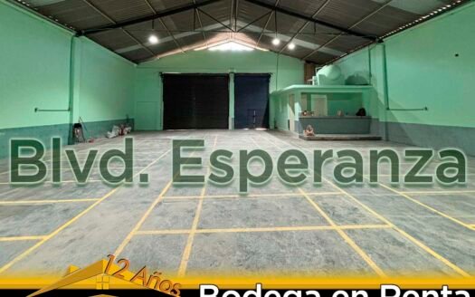 Bodega en Renta Blvd. Esperanza | Irapuato Tercer cinturón Vial