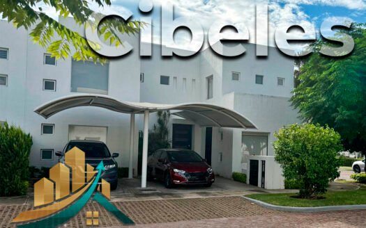 Residencia de Lujo Provincia Cibeles