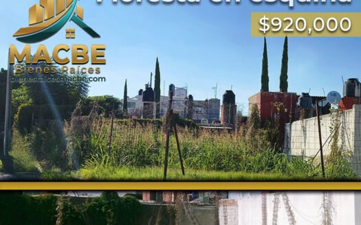 Terreno en Esquina en Venta Colonia Floresta, Irapuato | Oportunidad de Inversión Segura