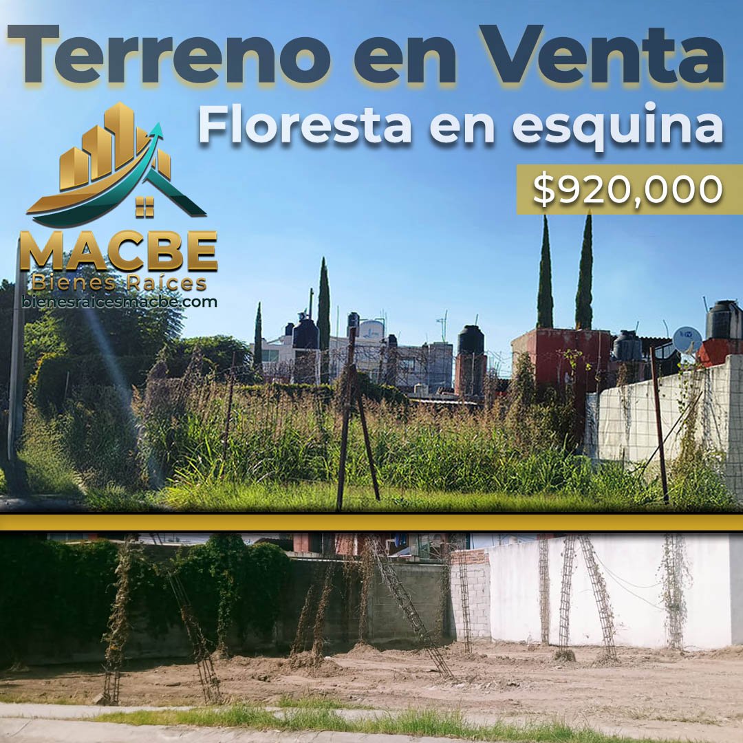 Terreno en esquina en venta Floresta Irapuato