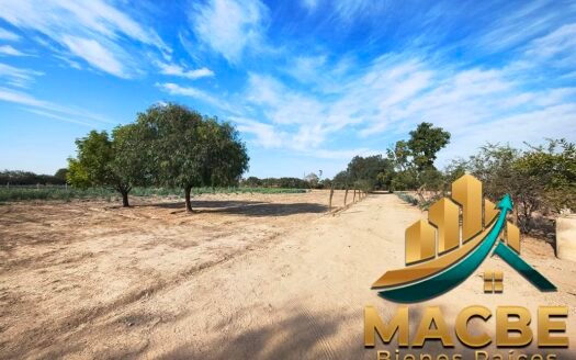 Terrenos Rústicos en Venta en Aldama, Cerca de Irapuato. Buena superficie y Casa Incluida