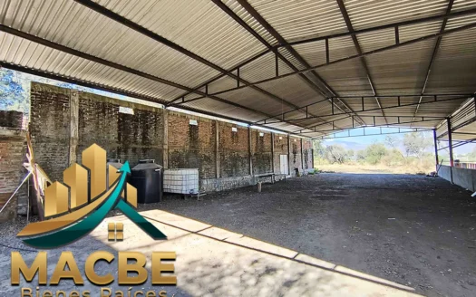 Terreno en venta entre Abasolo y Pénjamo agroindustrial