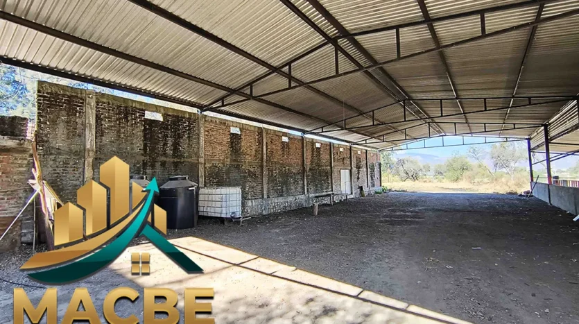 terreno en venta entre Abasolo y Pénjamo