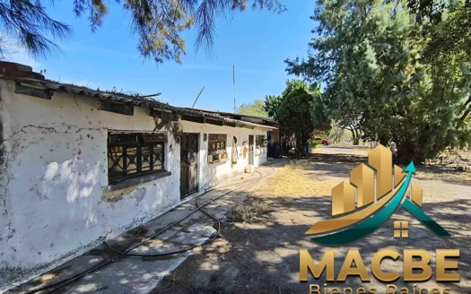Terreno en venta entre Abasolo y Pénjamo agroindustrial