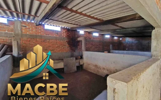 Terreno en venta entre Abasolo y Pénjamo agroindustrial