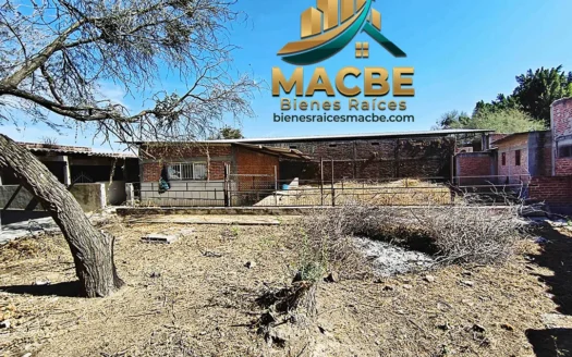 Terreno en venta entre Abasolo y Pénjamo agroindustrial