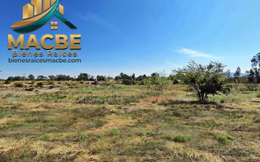 Terreno en venta entre Abasolo y Pénjamo agroindustrial