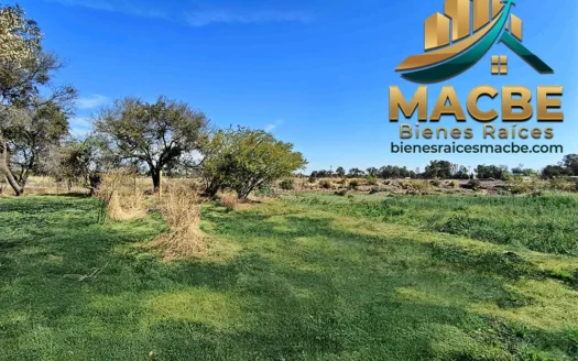 Terreno en venta entre Abasolo y Pénjamo agroindustrial