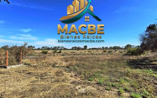 Terreno en venta entre Abasolo y Pénjamo agroindustrial