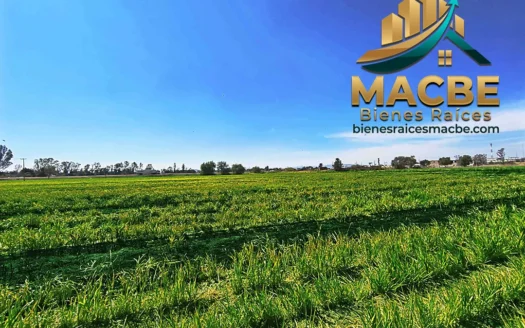Terreno en venta entre Abasolo y Pénjamo agroindustrial