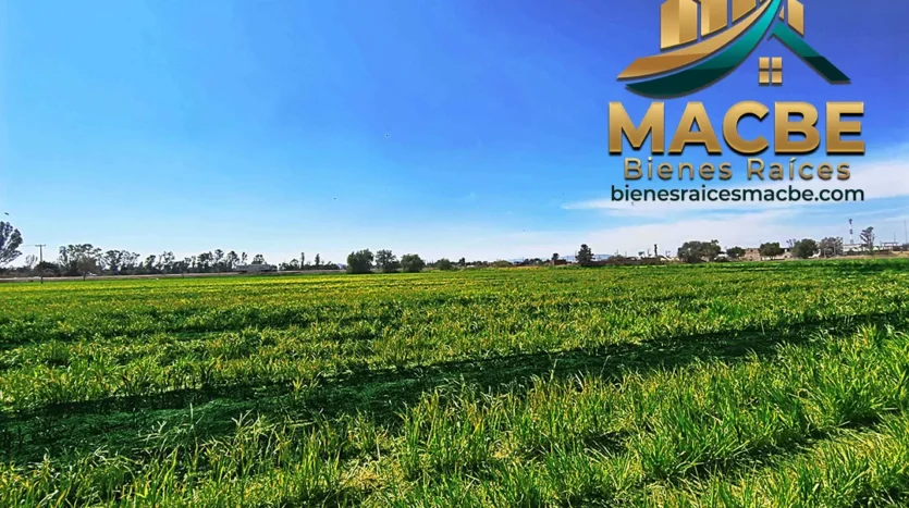 terreno en venta entre Abasolo y Pénjamo