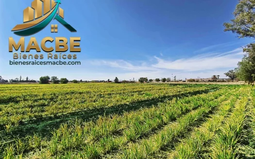 Terreno en venta entre Abasolo y Pénjamo agroindustrial