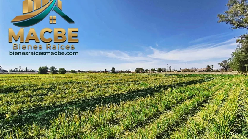 terreno en venta entre Abasolo y Pénjamo