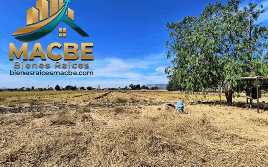 Terreno en venta entre Abasolo y Pénjamo agroindustrial