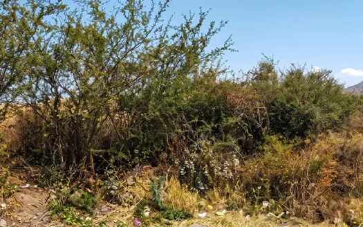 Terreno en venta en Pénjamo, Gto. | 400 m² carretera a Magallanes