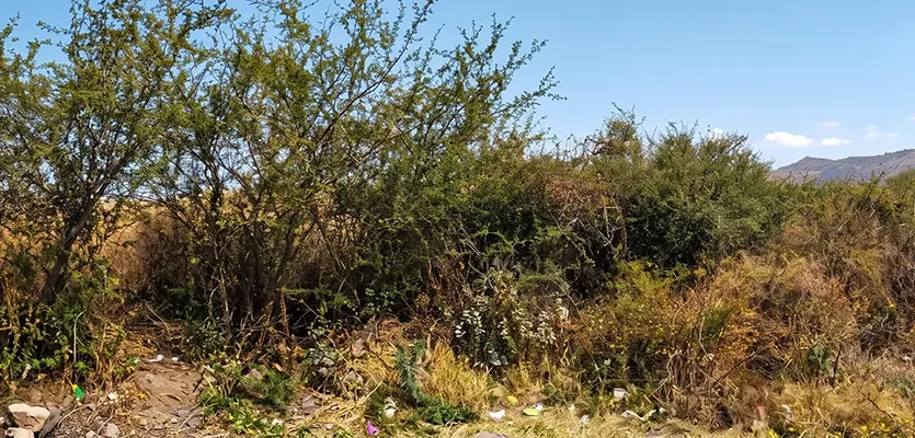 terreno en venta en Pénjamo