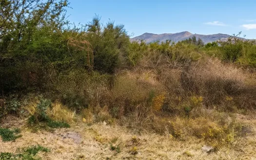 Terreno en venta en Pénjamo, Gto. | 400 m² carretera a Magallanes