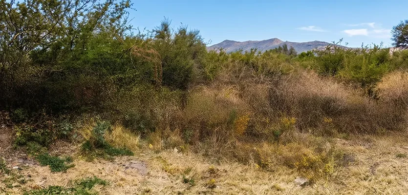 terreno en venta en Pénjamo